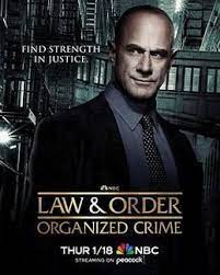 法律与秩序：组织犯罪 第四季 6
