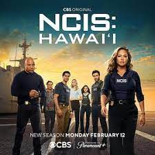 海军罪案调查处：夏威夷 第三季 4